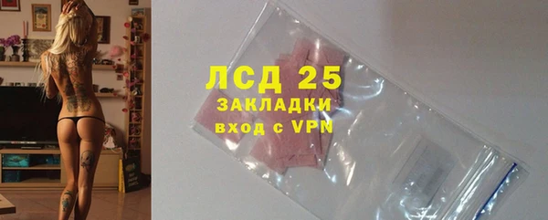 ПСИЛОЦИБИНОВЫЕ ГРИБЫ Медвежьегорск