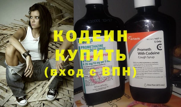 индика Магас