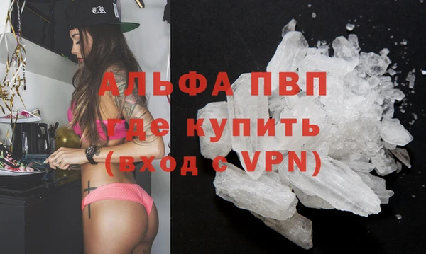 ПСИЛОЦИБИНОВЫЕ ГРИБЫ Медвежьегорск