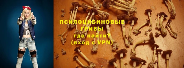 ГАЛЛЮЦИНОГЕННЫЕ ГРИБЫ Братск