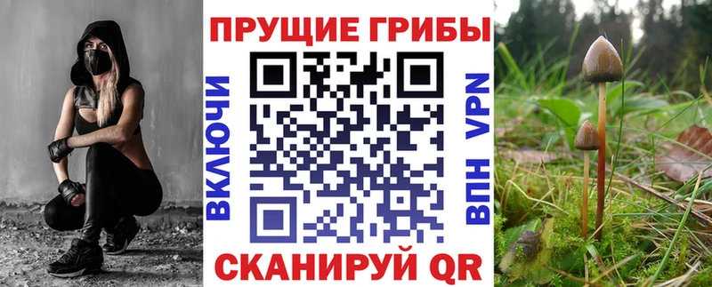 Псилоцибиновые грибы Cubensis  KRAKEN ссылка  Тында 