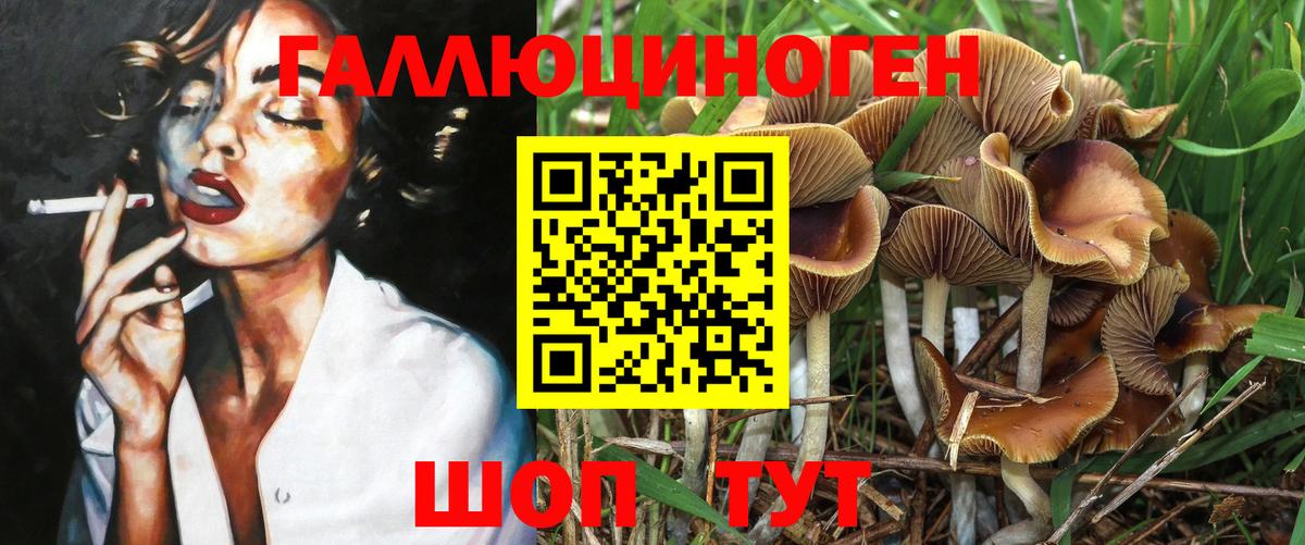 наркотики  Галлюциногенные грибы Cubensis  Вход с VPN  Псилоцибиновые грибы Psilocybe  Тында 